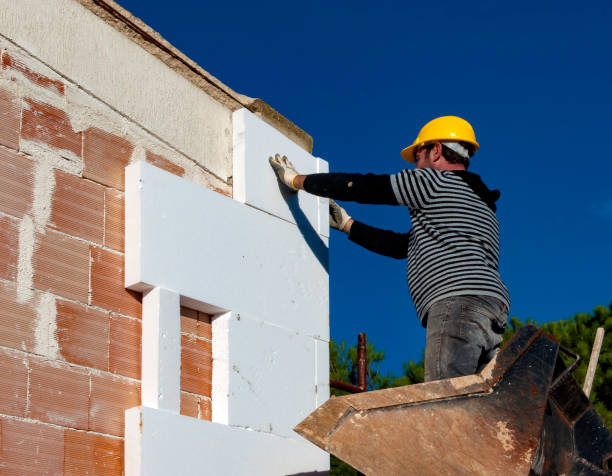 Best Insulation Maintenance and Repair in Reedsville, WI