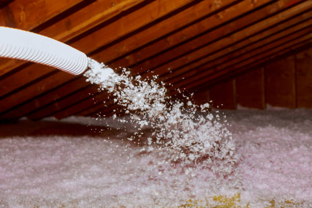 Best Cellulose Insulation in Reedsville, WI