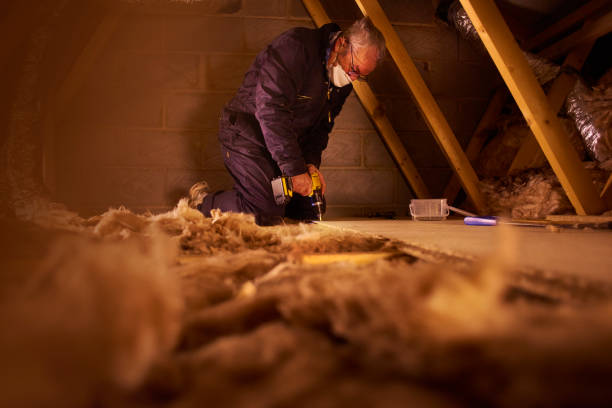 Best Commercial Insulation in Reedsville, WI