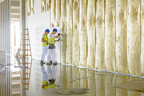 Best Spray Foam Insulation in Reedsville, WI